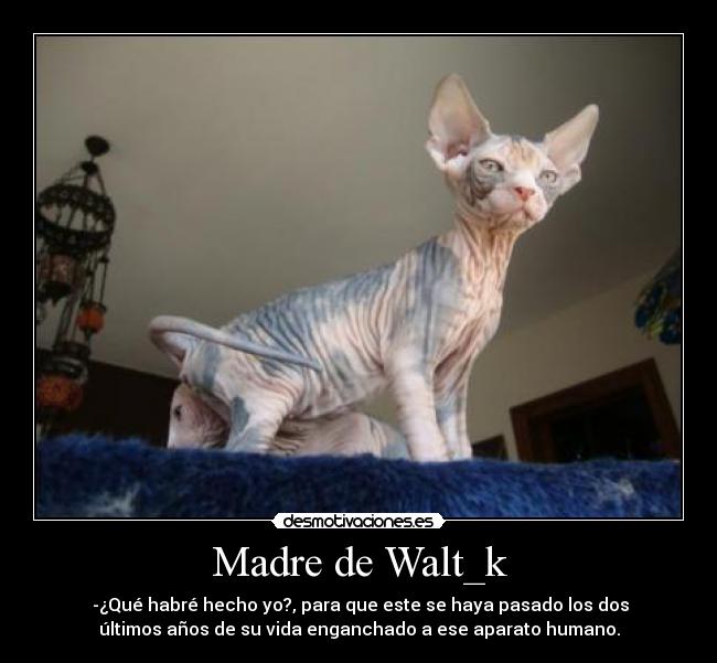 Madre de Walt_k - 