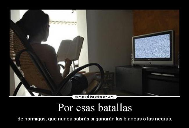 Por esas batallas - 