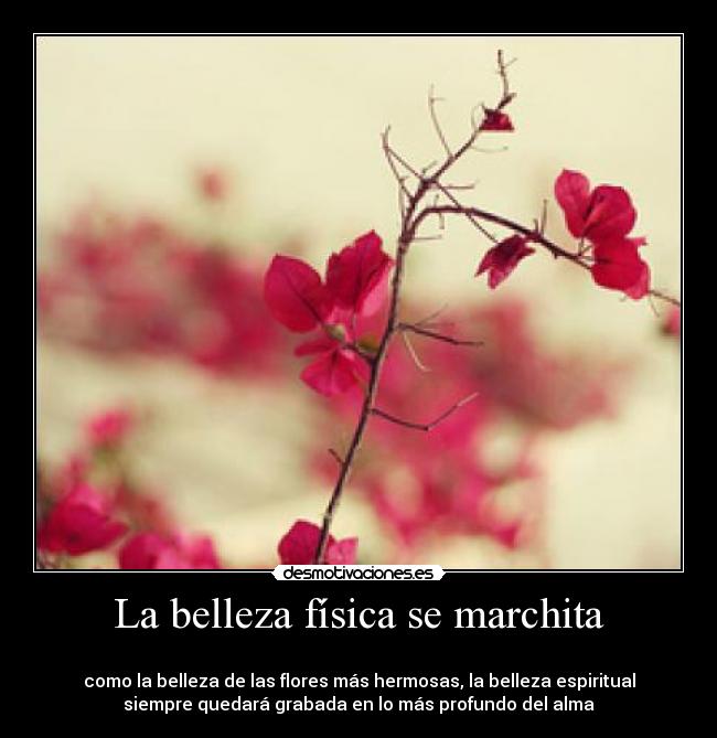  La belleza física se marchita  - 