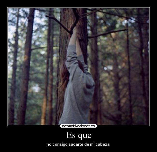 carteles tuu desmotivaciones