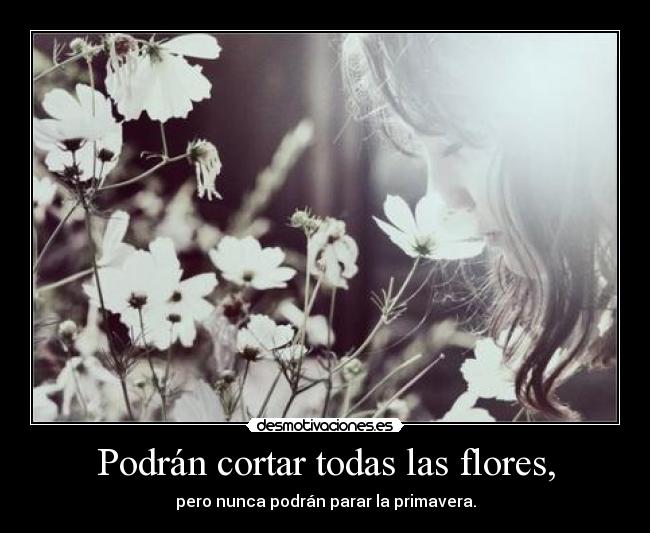 Podrán cortar todas las flores, - 