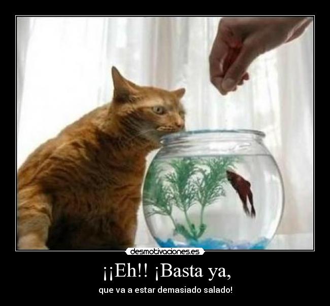 ¡¡Eh!! ¡Basta ya, - que va a estar demasiado salado!