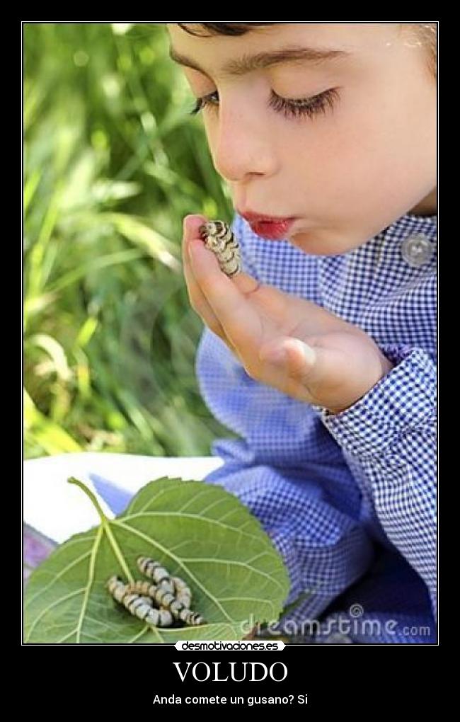 VOLUDO - Anda comete un gusano? Si