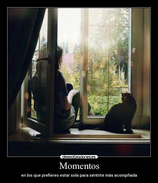 Momentos -