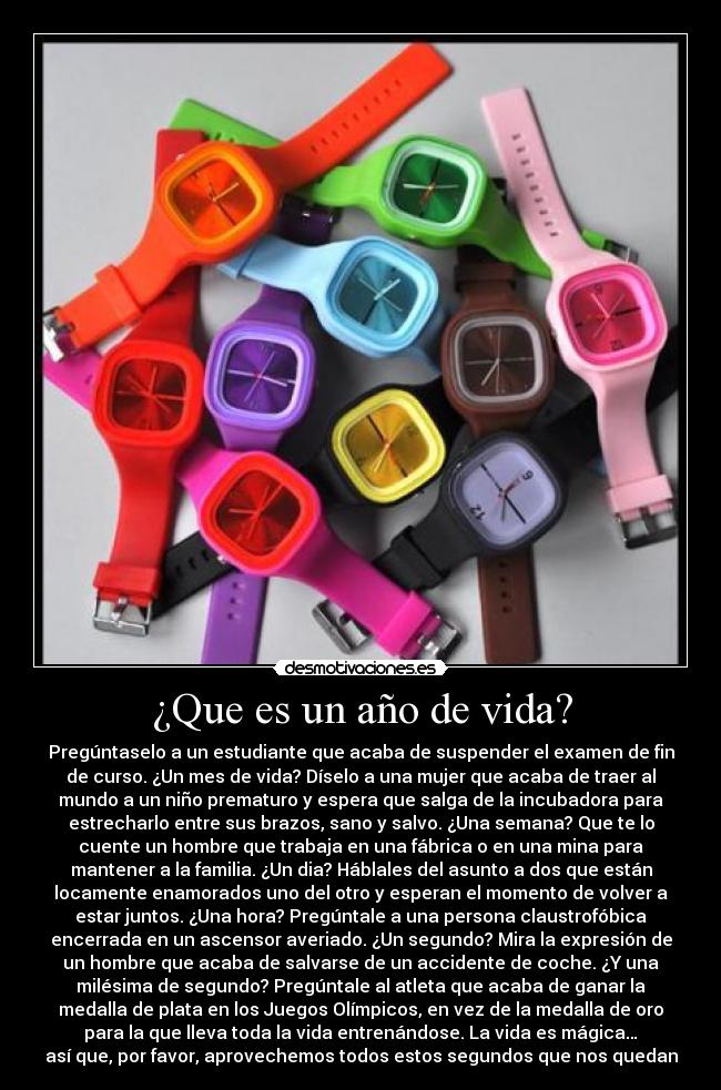 ¿Que es un año de vida? - 