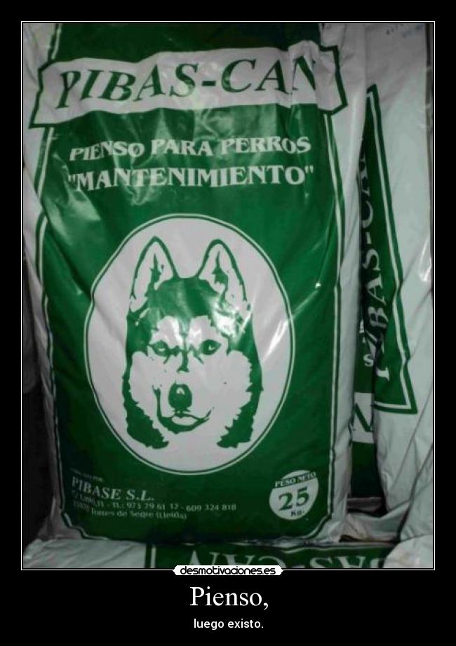 Pienso, - luego existo.