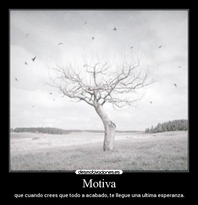 Motiva - 