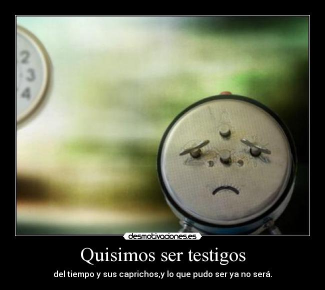 Quisimos ser testigos -