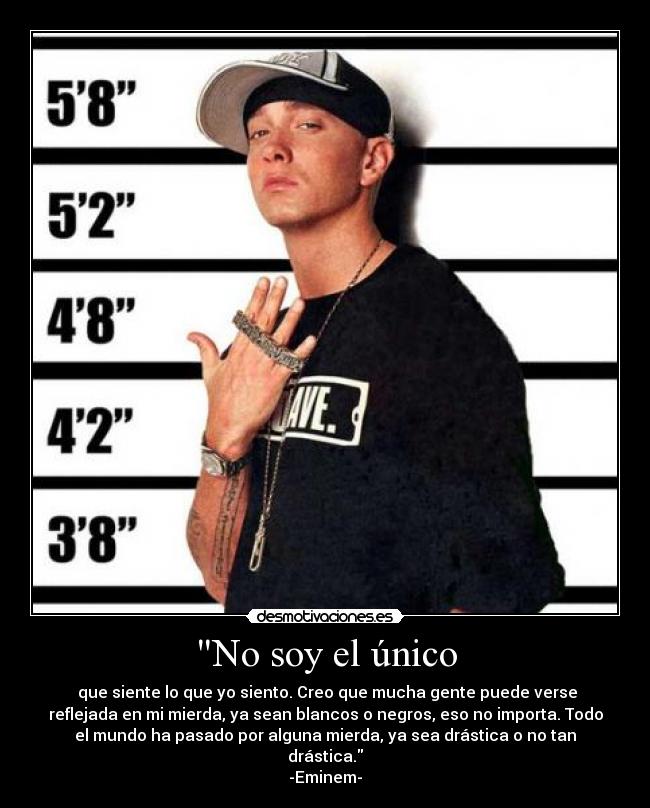 No soy el único -  que siente lo que yo siento. Creo que mucha gente puede verse
reflejada en mi mierda, ya sean blancos o negros, eso no importa. Todo
el mundo ha pasado por alguna mierda, ya sea drástica o no tan
drástica.
-Eminem-
