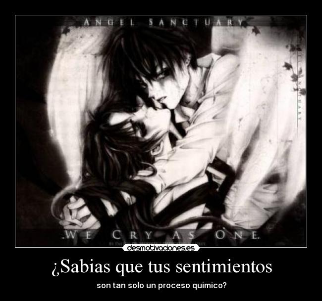 ¿Sabias que tus sentimientos - son tan solo un proceso quimico?