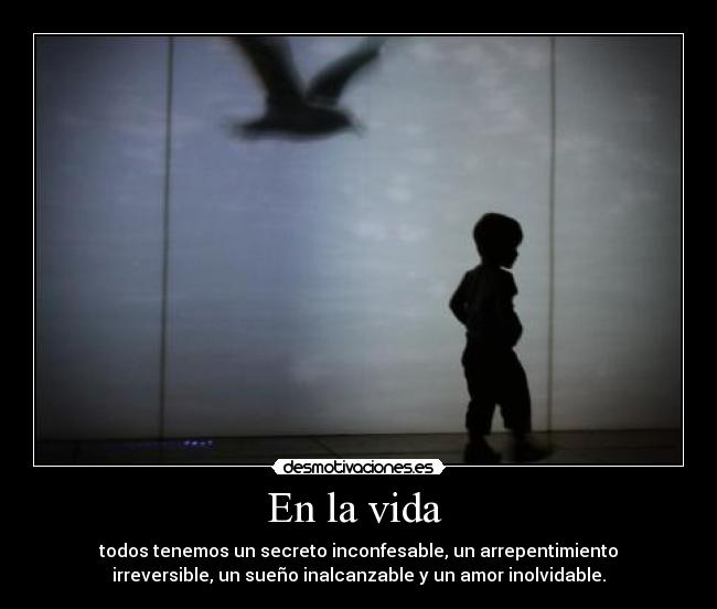 En la vida - todos tenemos un secreto inconfesable, un arrepentimiento
irreversible, un sueño inalcanzable y un amor inolvidable.