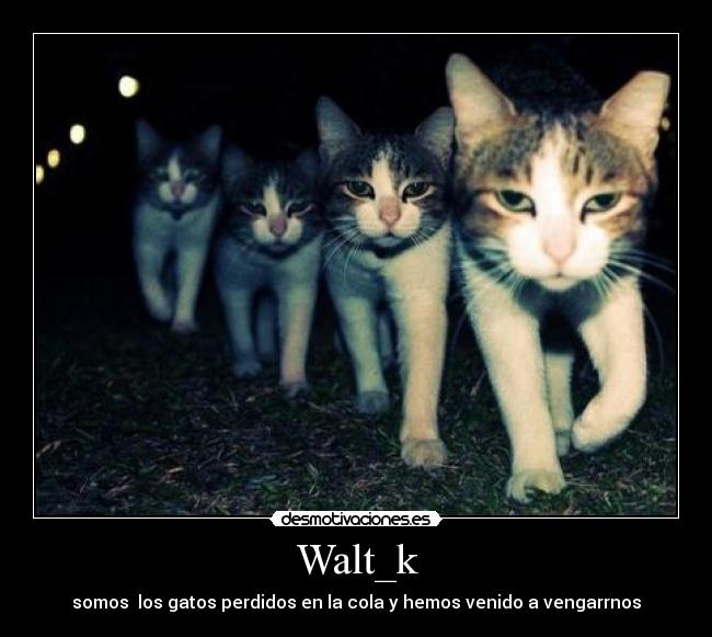 Walt_k -