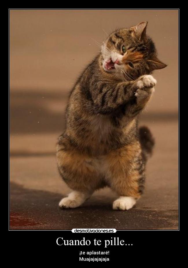 Cuando te pille... - 