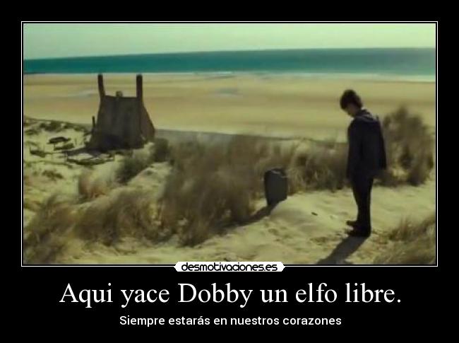 Aqui yace Dobby un elfo libre. - Siempre estarás en nuestros corazones