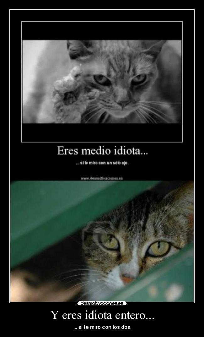 Y eres idiota entero... -