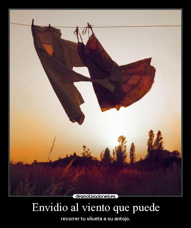 Envidio al viento que puede -