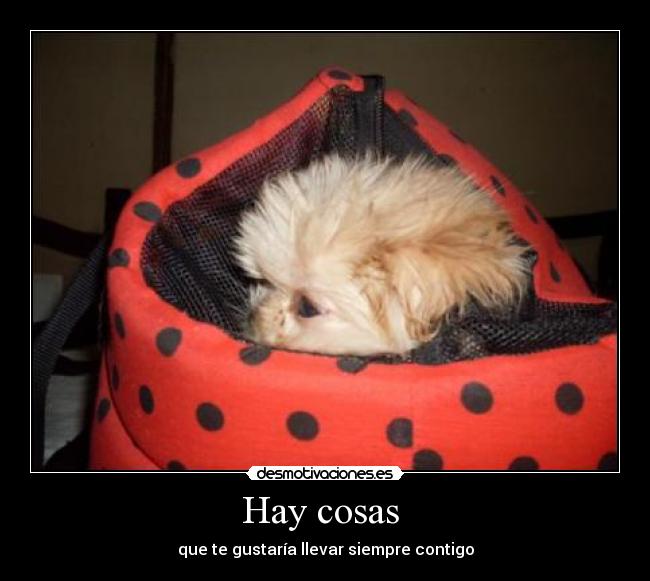 Hay cosas - que te gustaría llevar siempre contigo