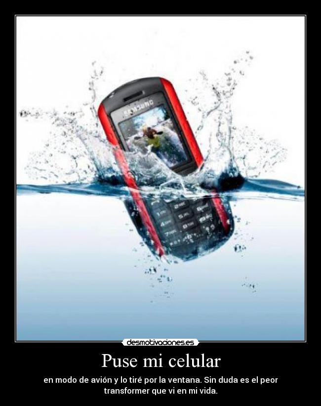 Puse mi celular - 