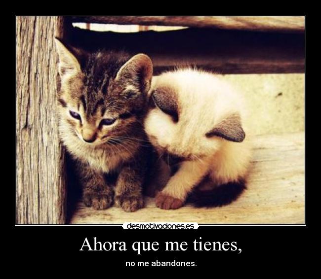 Ahora que me tienes, - no me abandones.