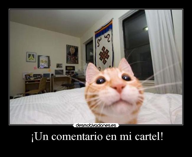 ¡Un comentario en mi cartel! -
