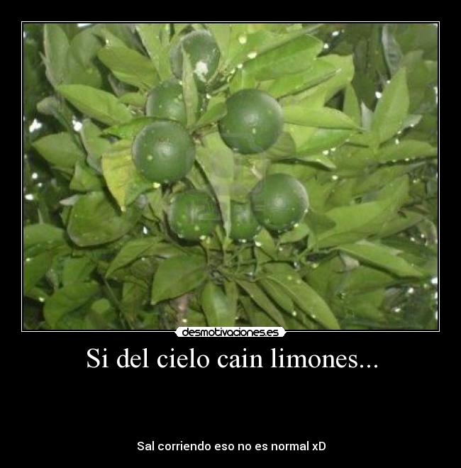 Si del cielo cain limones... -
Sal corriendo eso no es normal xD
