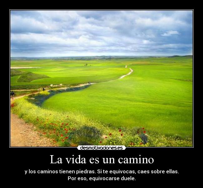La vida es un camino - 