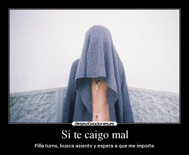 Si te caigo mal -