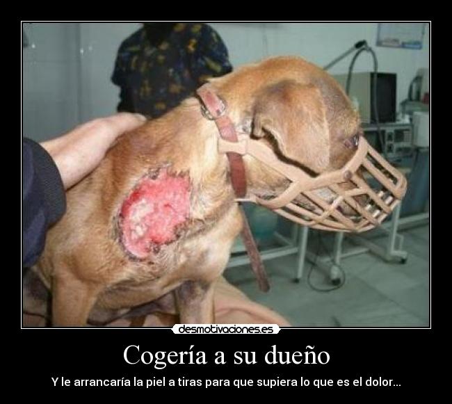 Cogería a su dueño -