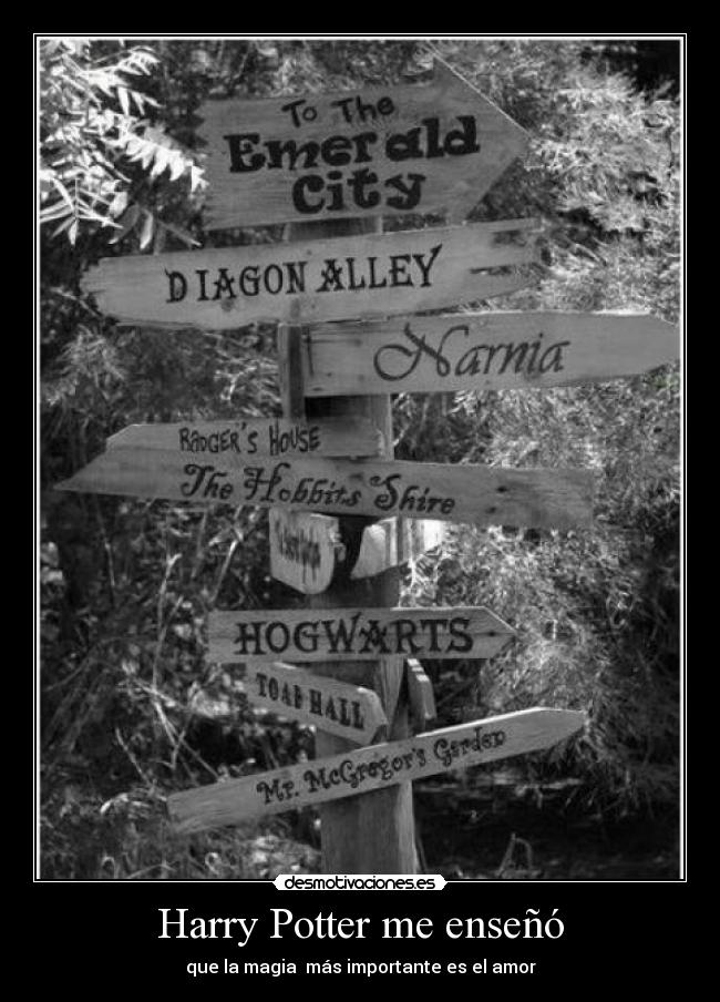 Harry Potter me enseñó -