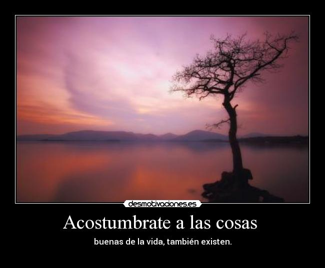 Acostumbrate a las cosas  - 