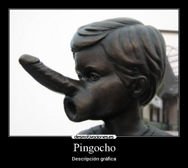Pingocho - 