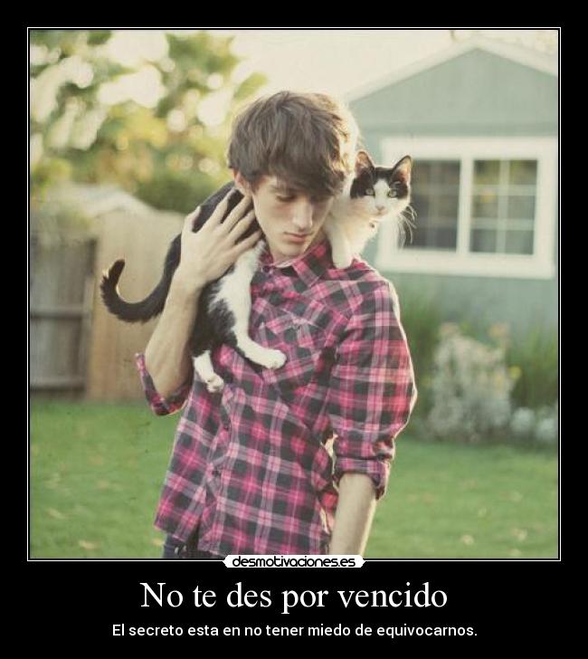 No te des por vencido -