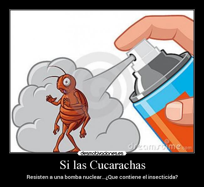 Si las Cucarachas -