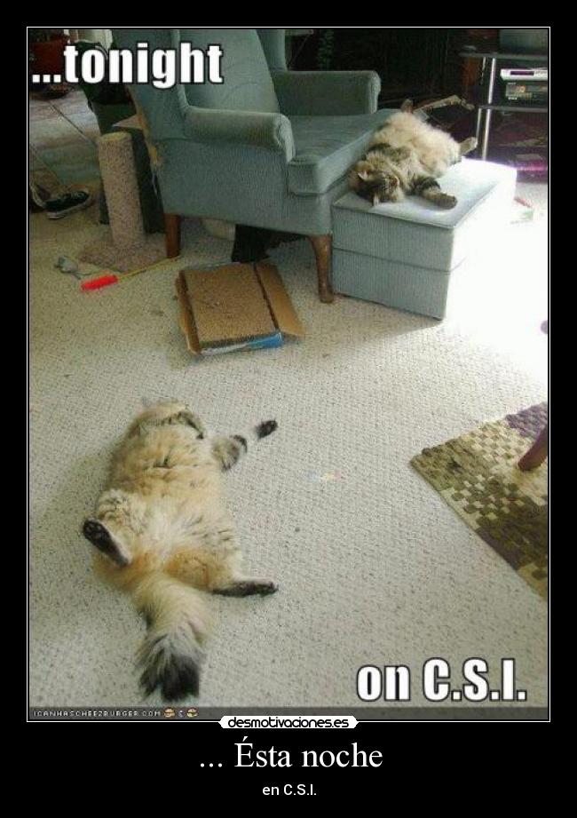 ... Ésta noche - en C.S.I.