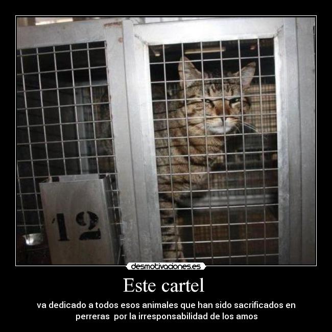 Este cartel - va dedicado a todos esos animales que han sido sacrificados en
perreras por la irresponsabilidad de los amos