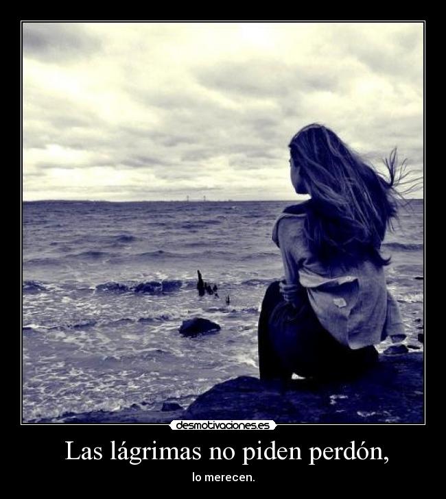 carteles las lagrimas piden perdon desmotivaciones