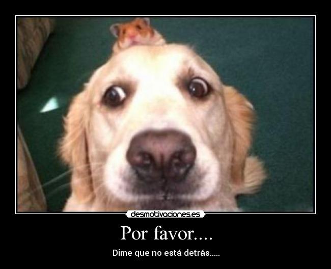 Por favor.... - Dime que no está detrás.....