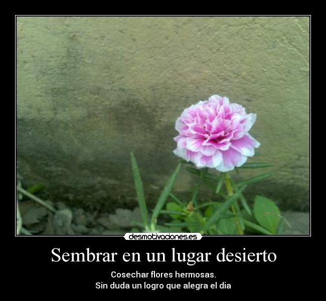 Sembrar en un lugar desierto - Cosechar flores hermosas.
Sin duda un logro que alegra el dia