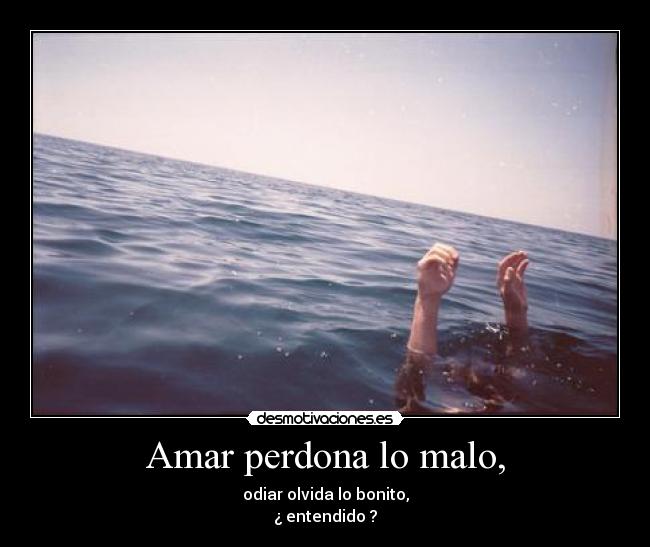 carteles amor odio desmotivaciones