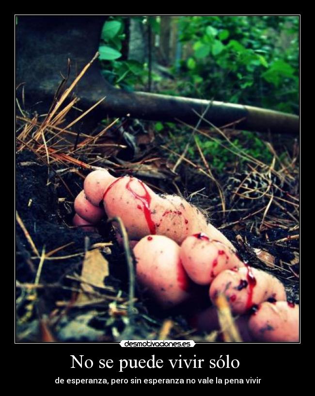 No se puede vivir sólo  - 