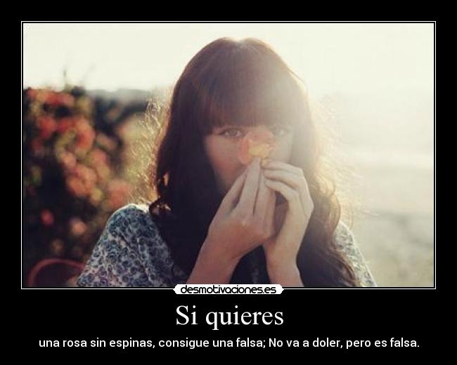 Si quieres -