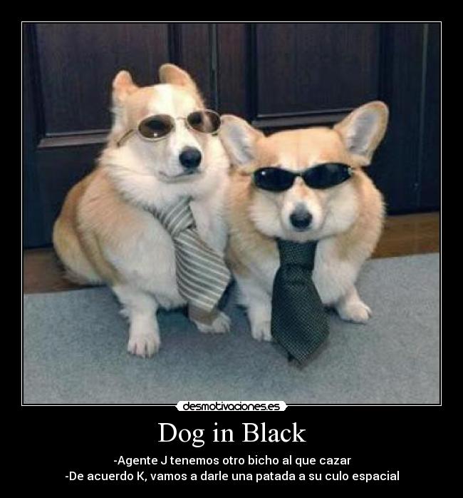 Dog in Black - -Agente J tenemos otro bicho al que cazar
-De acuerdo K, vamos a darle una patada a su culo espacial