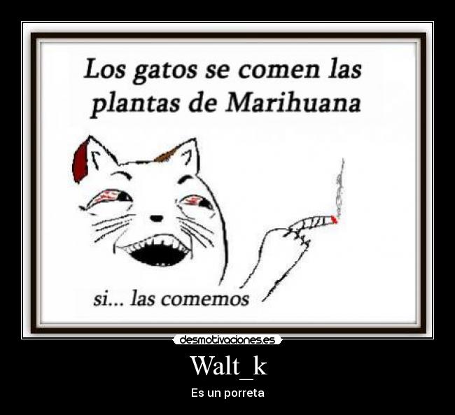 Walt_k - Es un porreta