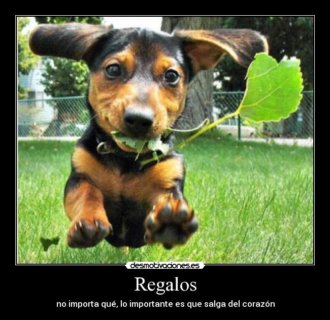 carteles madre0 desmotivaciones