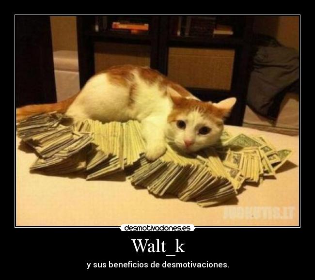 Walt_k - y sus beneficios de desmotivaciones.