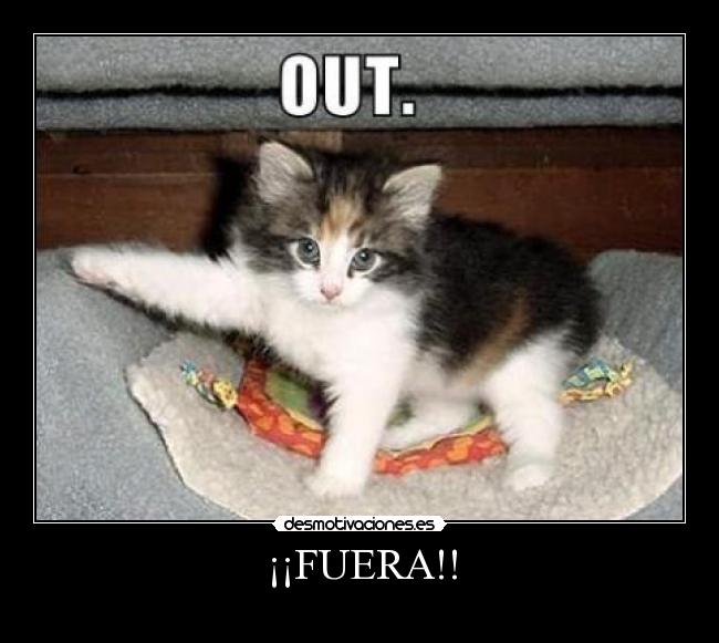 ¡¡FUERA!! - 