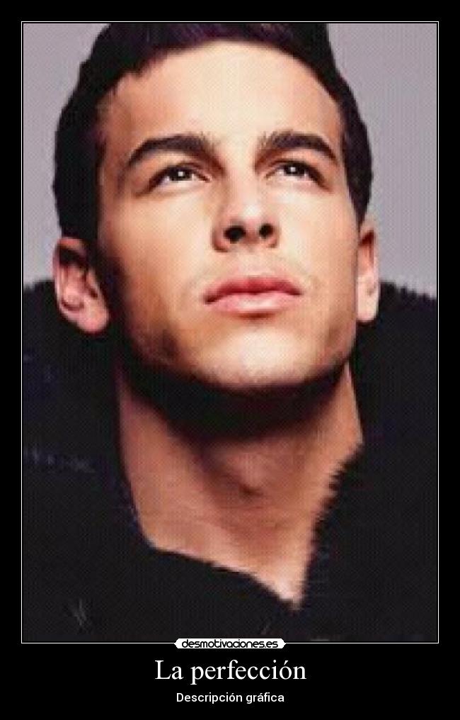 La perfección - 