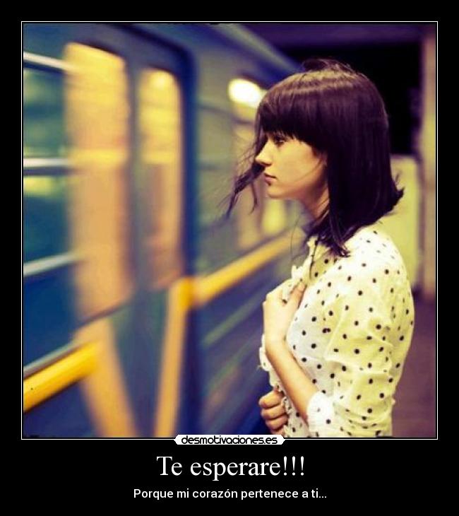 Te esperare!!! - 