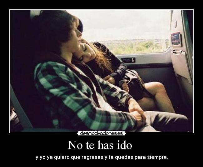 No te has ido  - y yo ya quiero que regreses y te quedes para siempre.