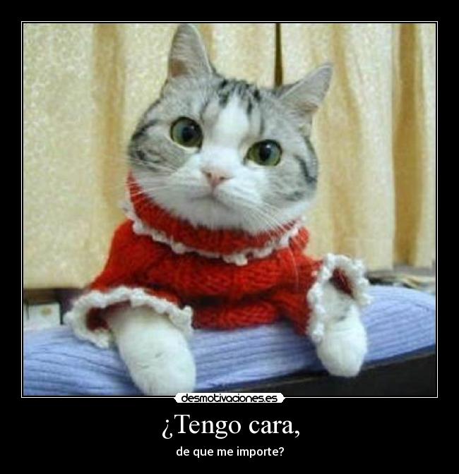 ¿Tengo cara, - de que me importe?